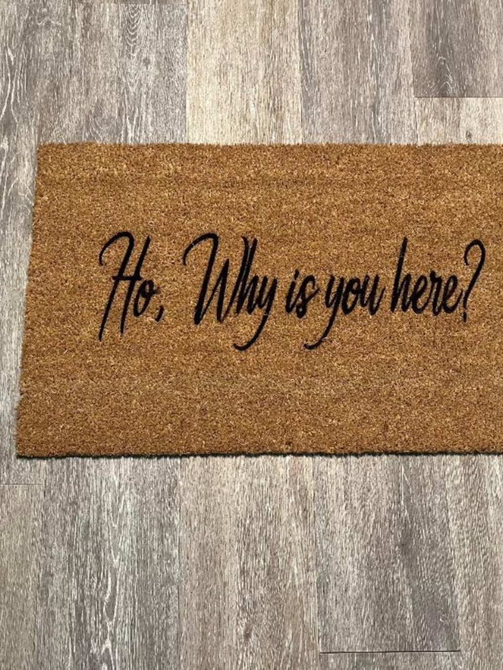 Ho, Why is you here? decorative coir doormat